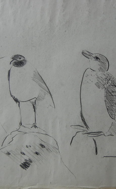 Charcoal Birds